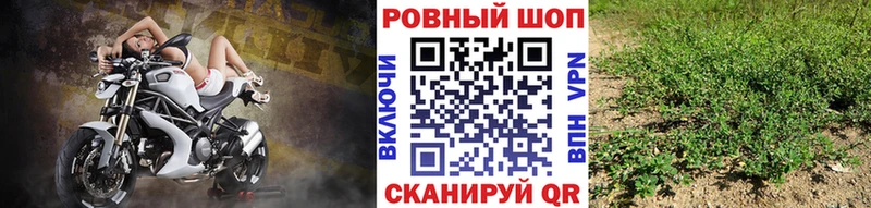 Какие есть наркотики Новокубанск Бошки Шишки  КОКАИН  А ПВП  Галлюциногенные грибы  ГАШИШ  МЕФ 