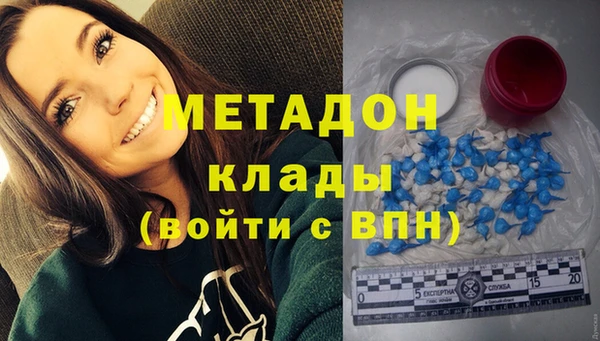 крисы Новозыбков