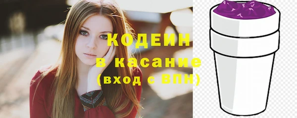 крисы Новозыбков