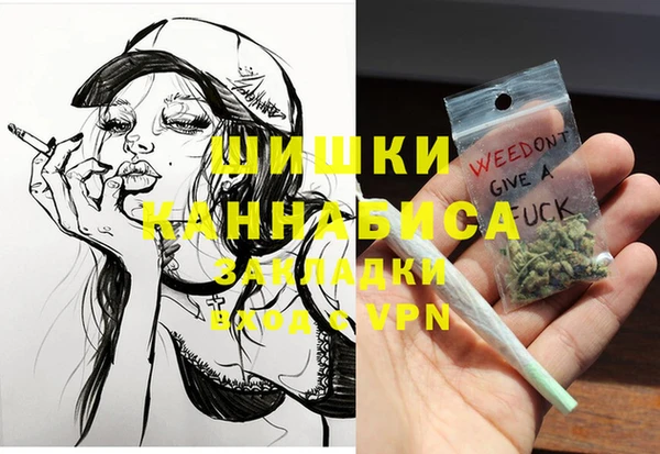 крисы Новозыбков