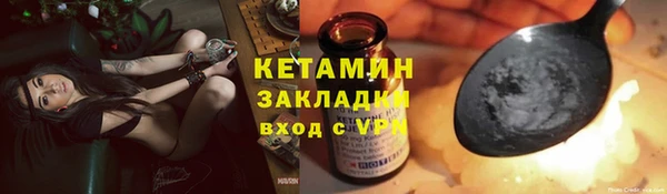 крисы Новозыбков
