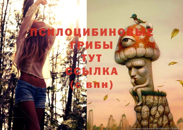 крисы Новозыбков