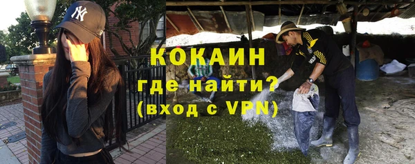крисы Новозыбков