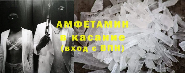 дживик Туринск