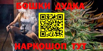 СК Кандалакша