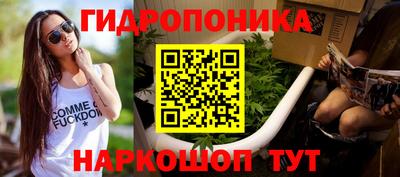 СК Кандалакша