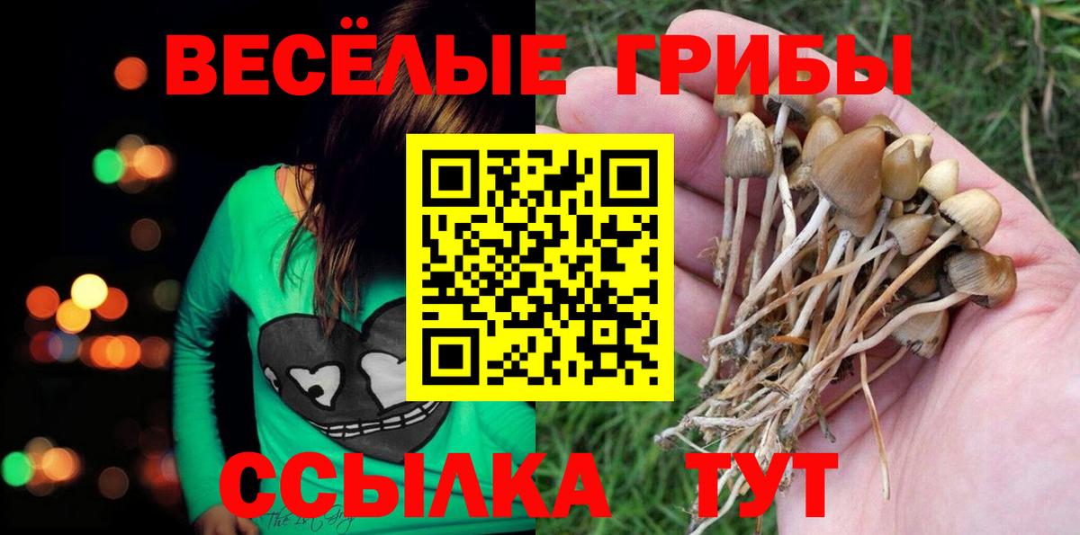 Новокубанск  Псилоцибиновые грибы мицелий  Вход с VPN 